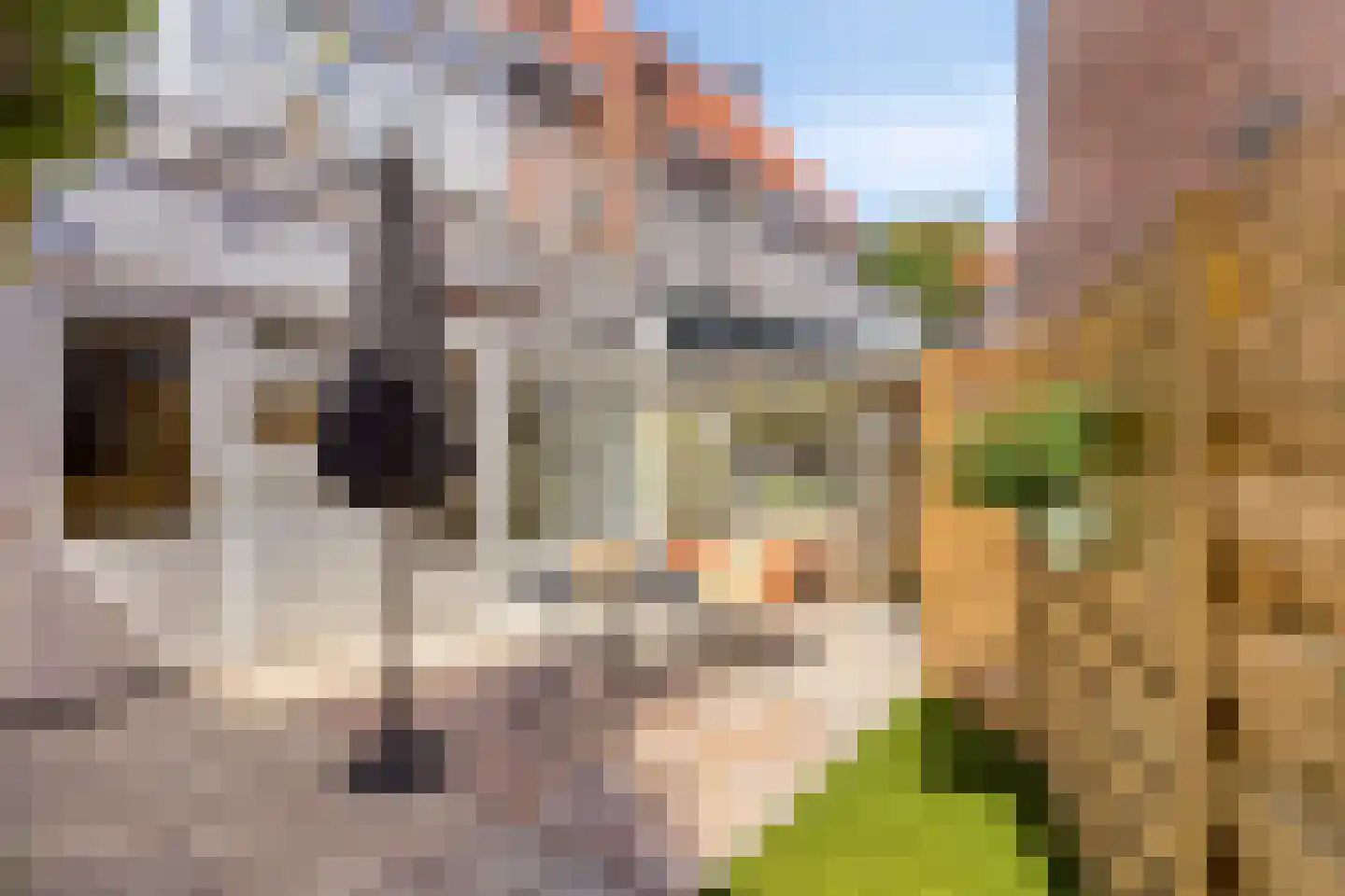Julianastraat 27 Eindhoven thumbnail 41