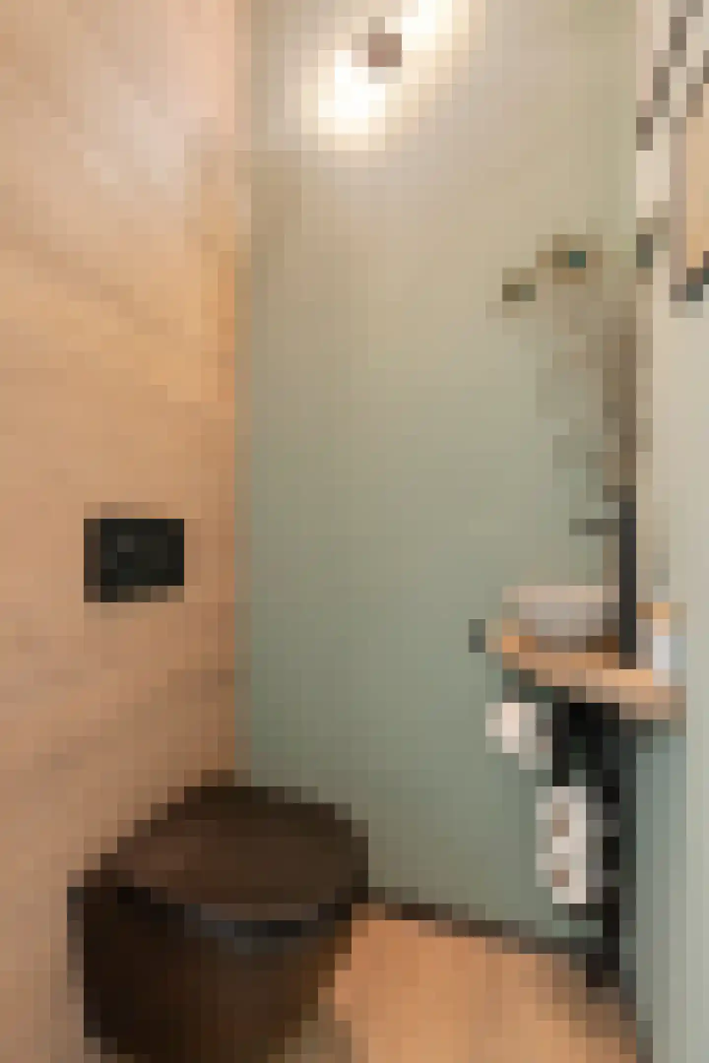 Julianastraat 27 Eindhoven thumbnail 9