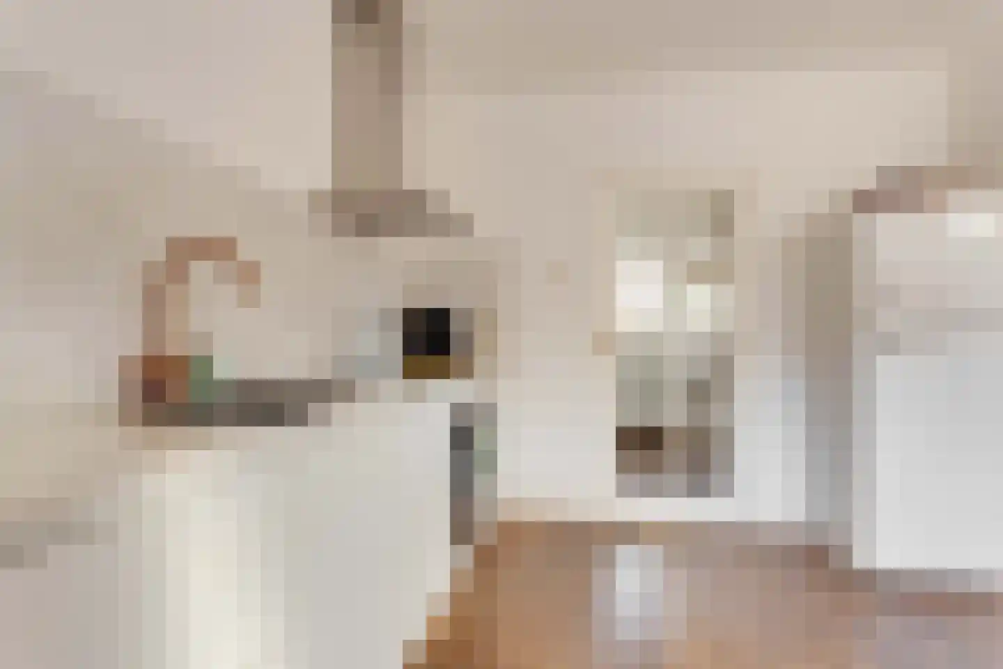 Julianastraat 27 Elburg thumbnail 14