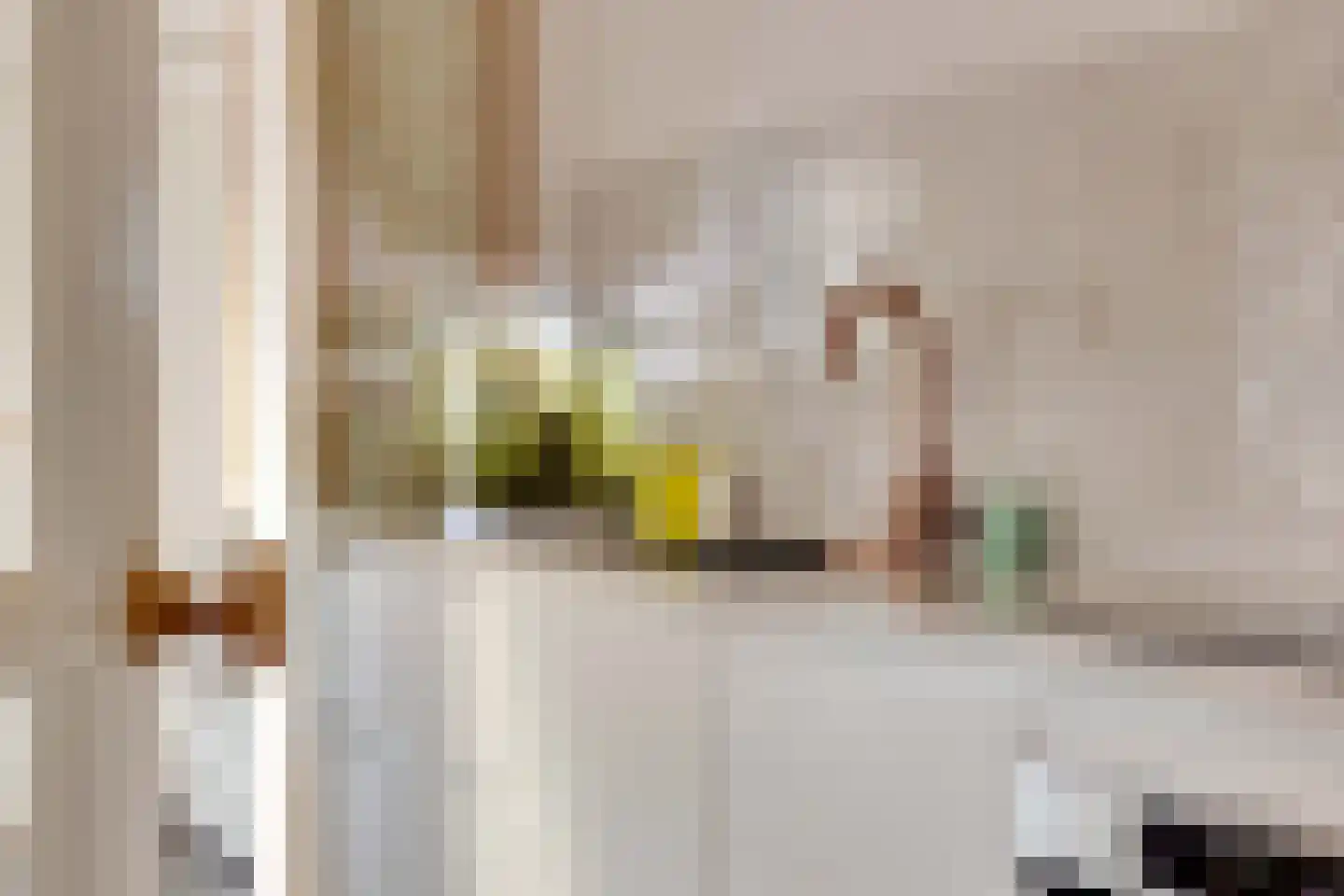 Julianastraat 27 Elburg thumbnail 15