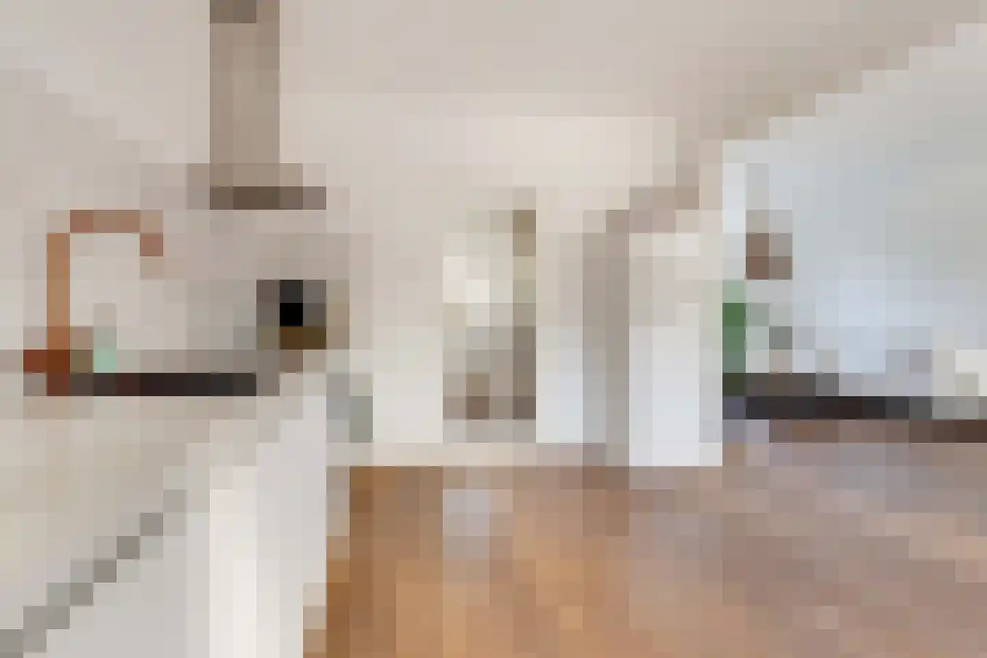 Julianastraat 27 Elburg thumbnail 17