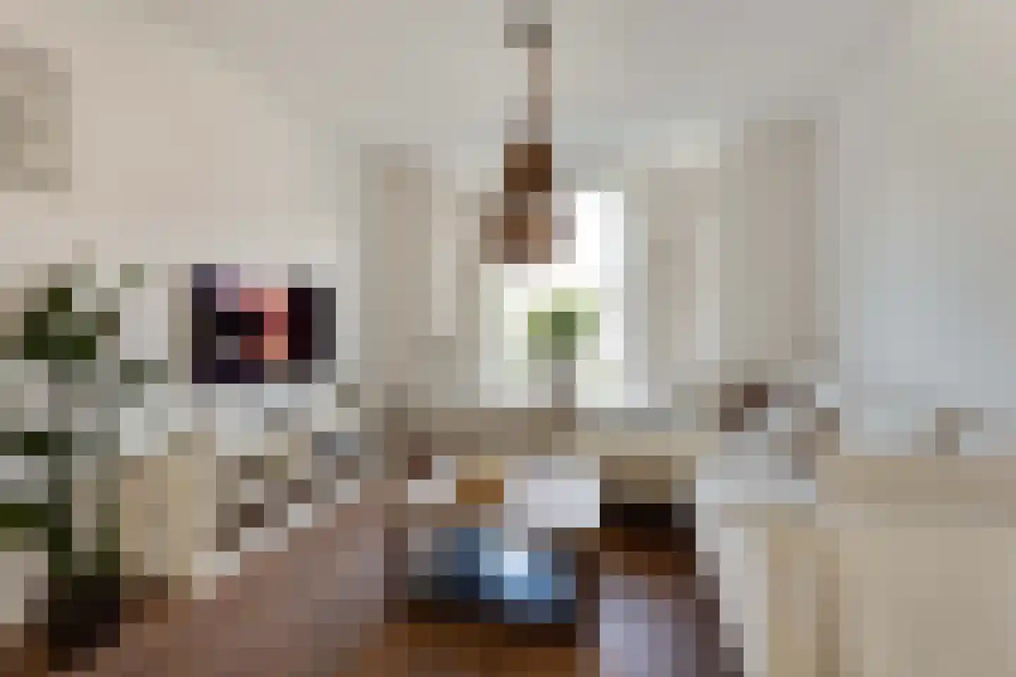Julianastraat 27 Elburg thumbnail 25