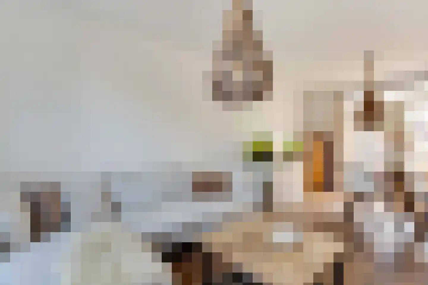Julianastraat 27 Elburg thumbnail 26