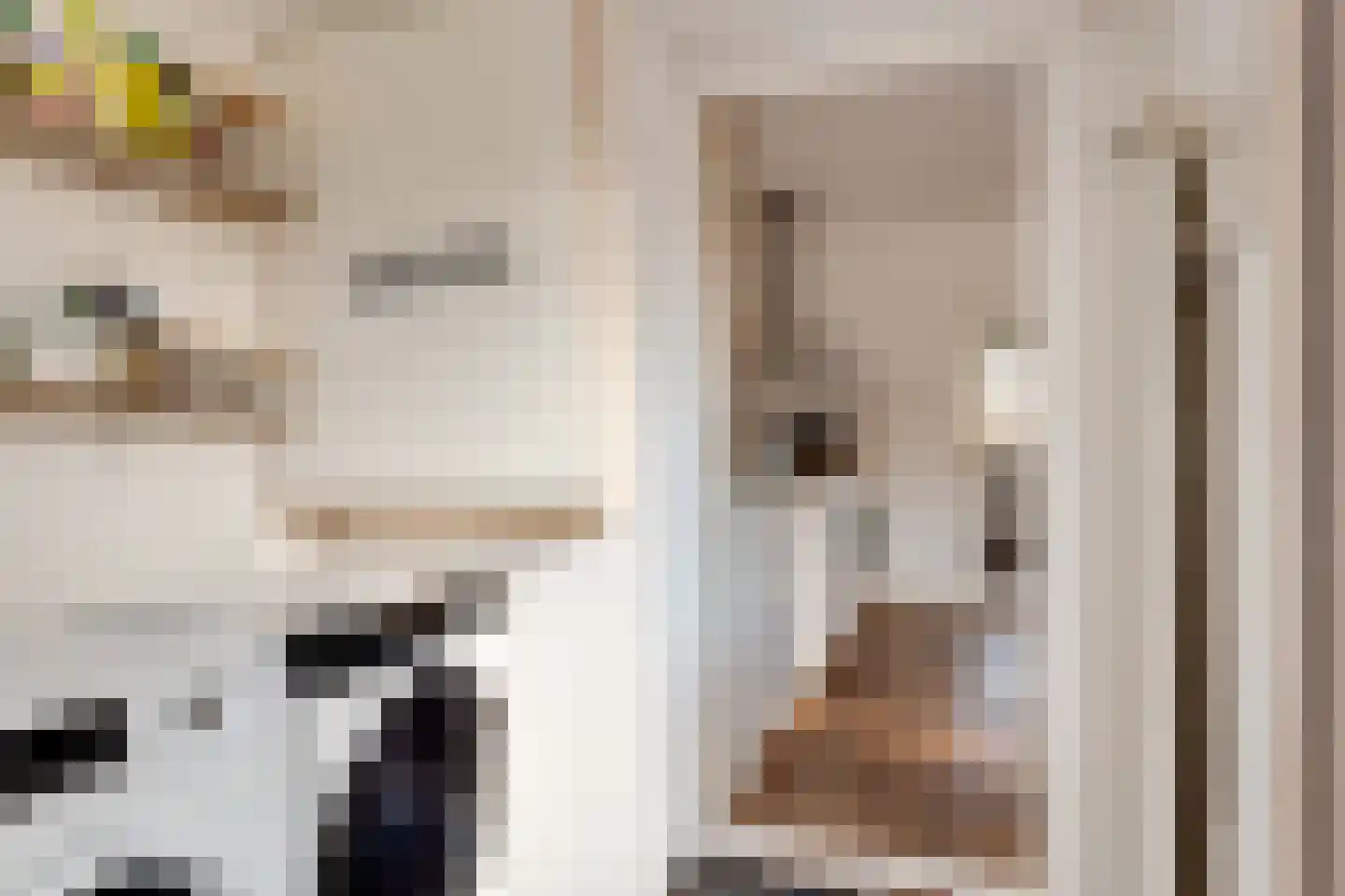 Julianastraat 27 Elburg thumbnail 28