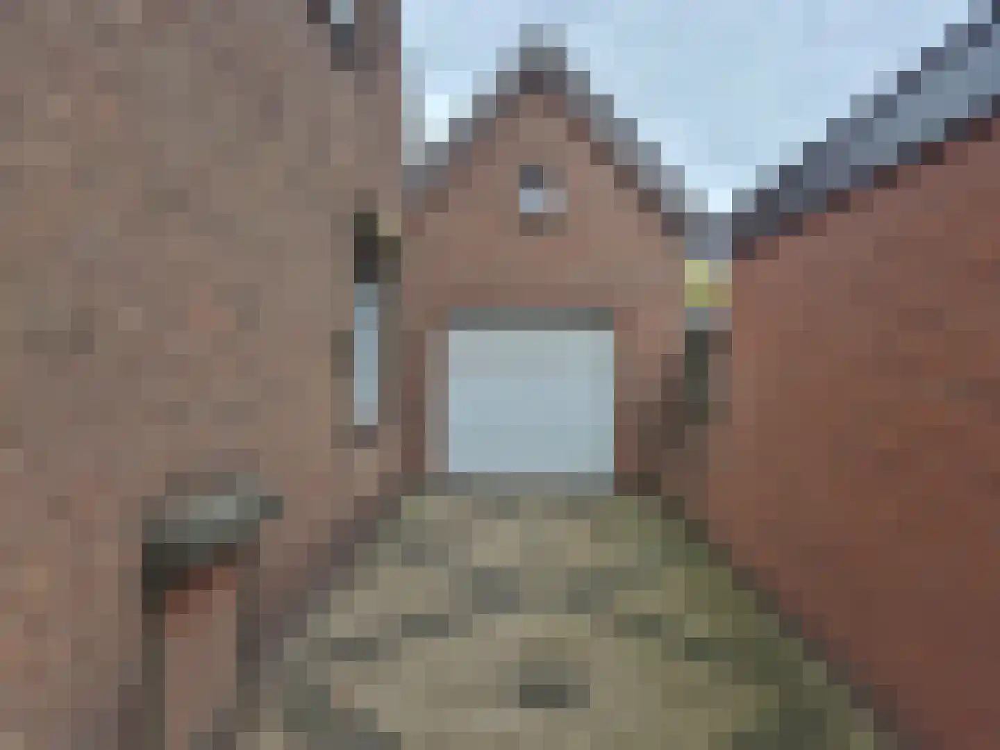 Julianastraat 27 Halsteren thumbnail 19