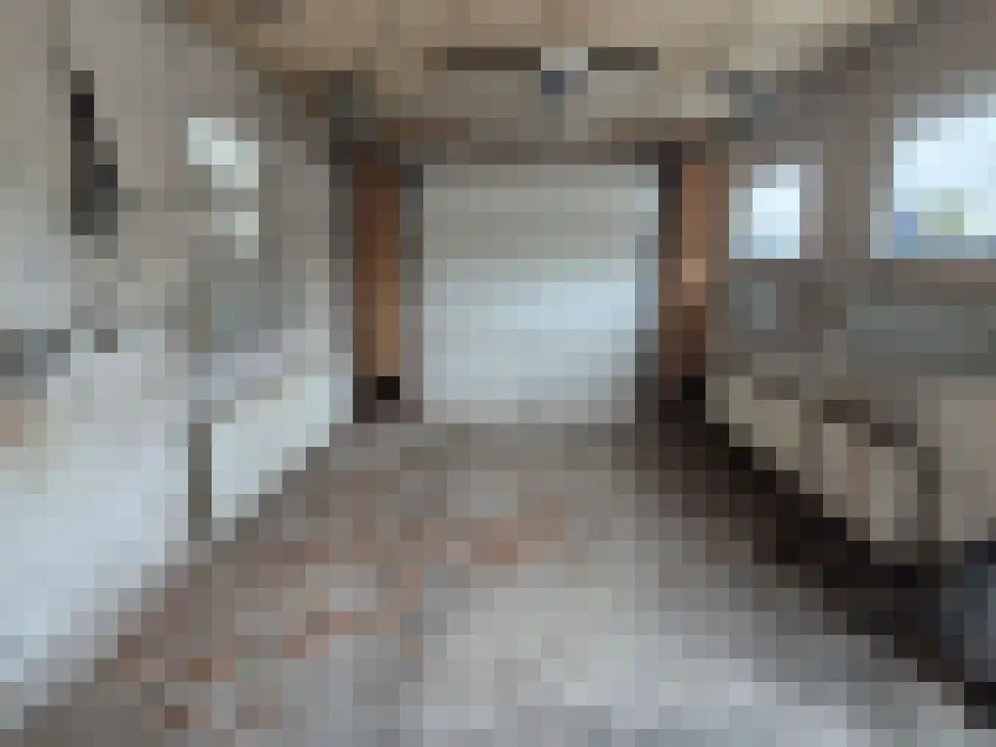 Julianastraat 27 Halsteren thumbnail 20