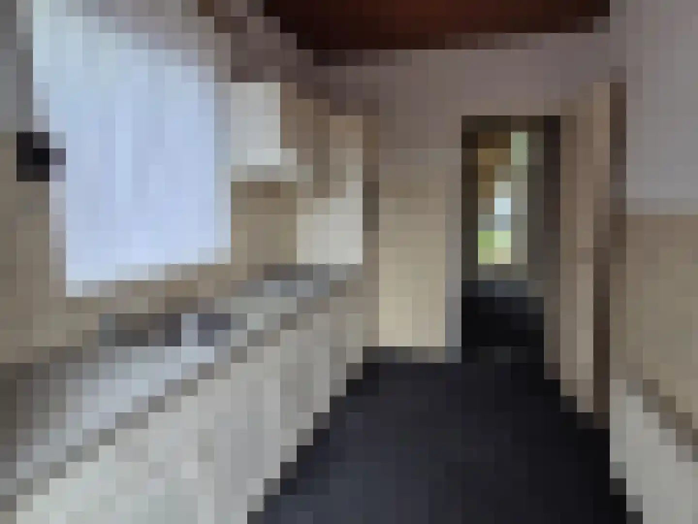 Julianastraat 27 Halsteren thumbnail 8