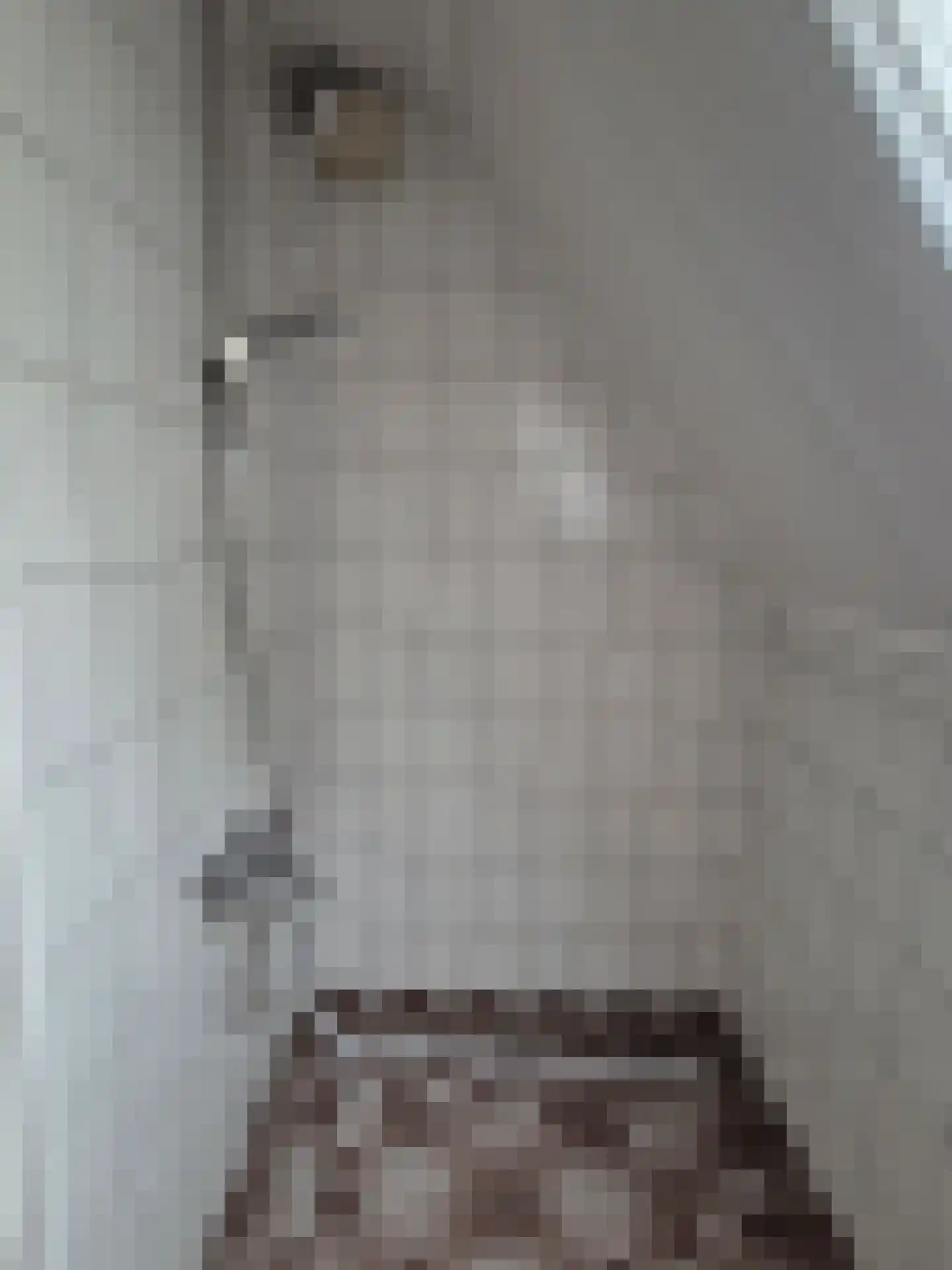 Julianastraat 27 Halsteren thumbnail 9