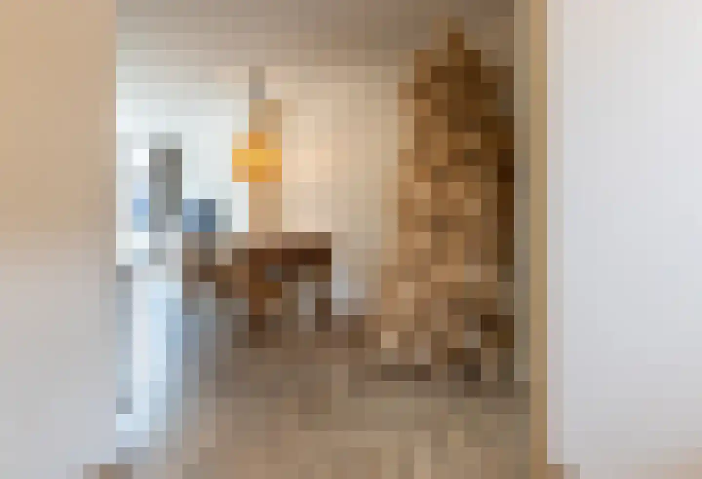 Julianastraat 27 Leiden thumbnail 10