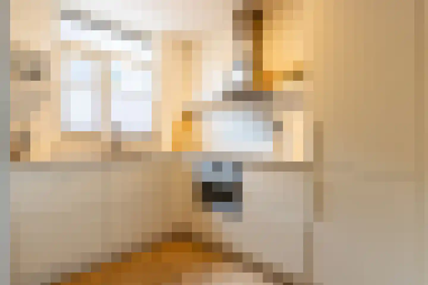 Julianastraat 27 Leiden thumbnail 11