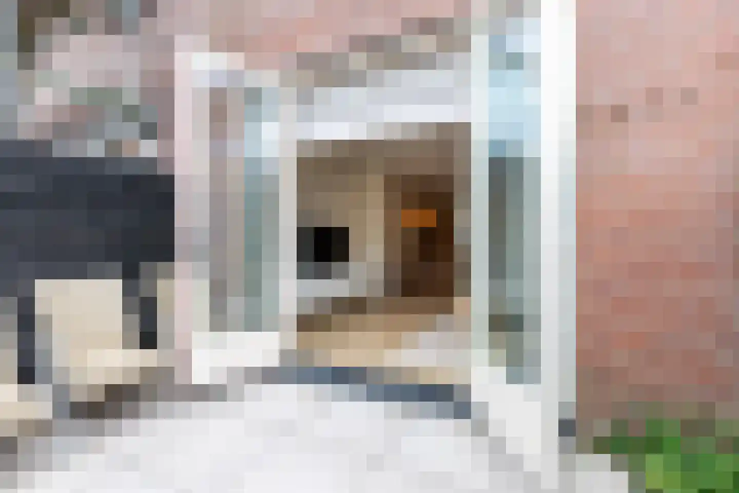 Julianastraat 27 Leiden thumbnail 13