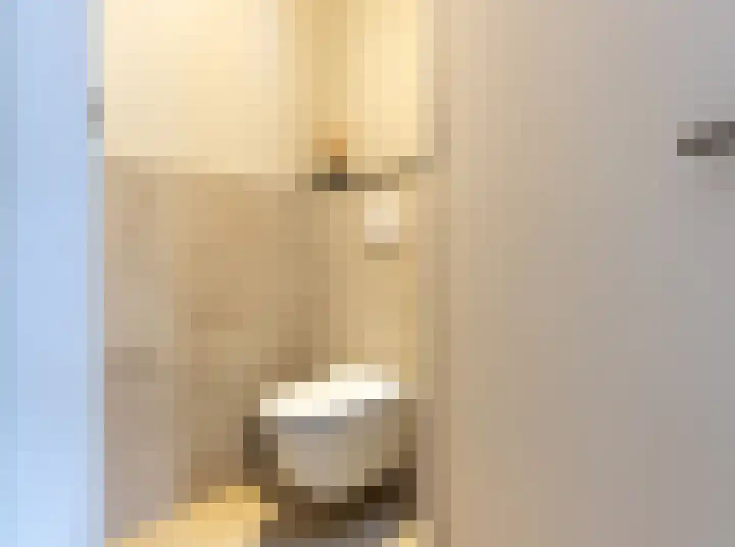 Julianastraat 27 Leiden thumbnail 17