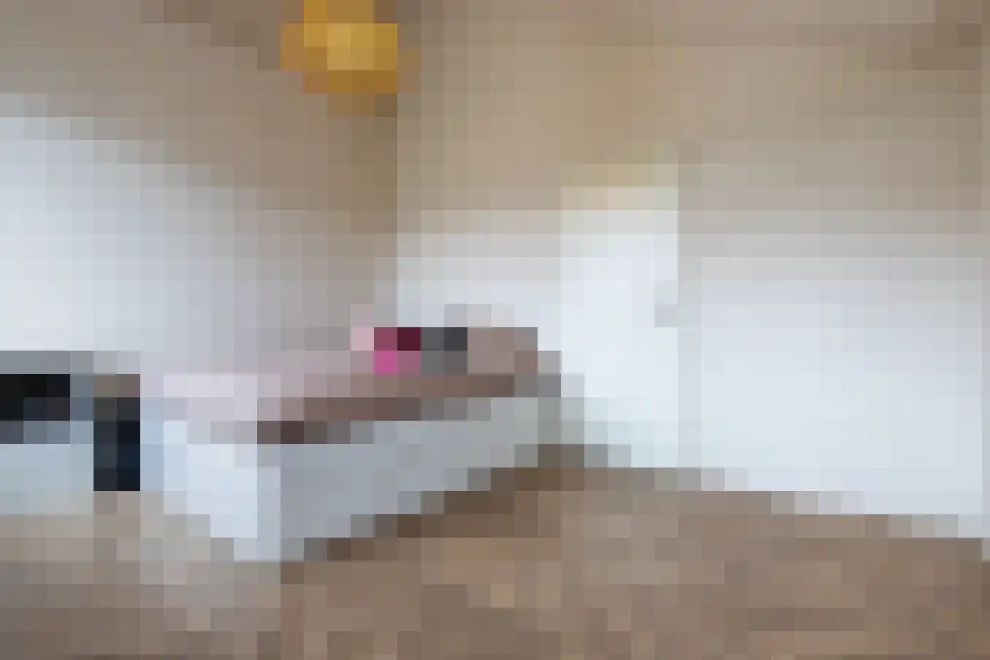 Julianastraat 27 Leiden thumbnail 21
