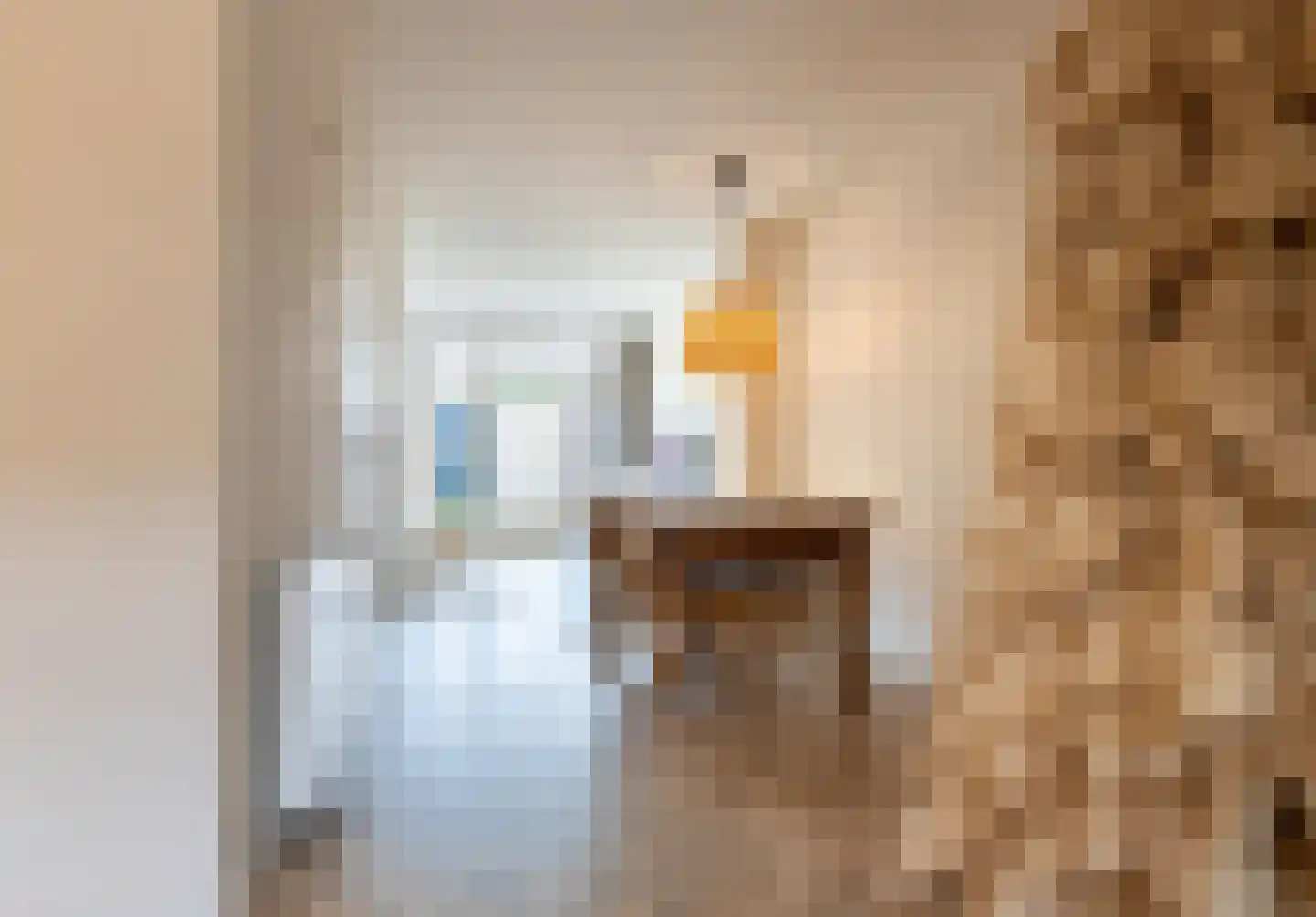 Julianastraat 27 Leiden thumbnail 6