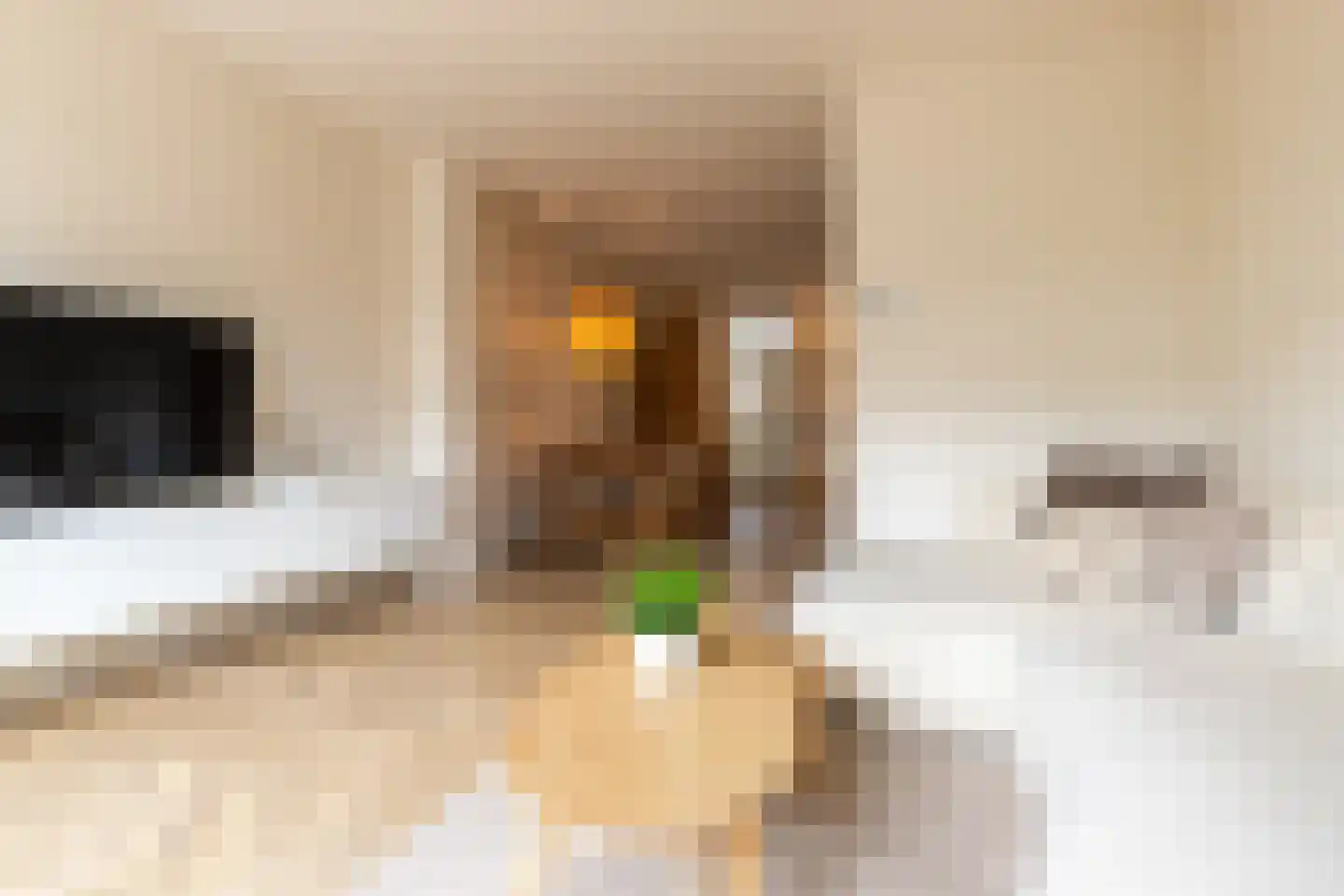 Julianastraat 27 Leiden thumbnail 9