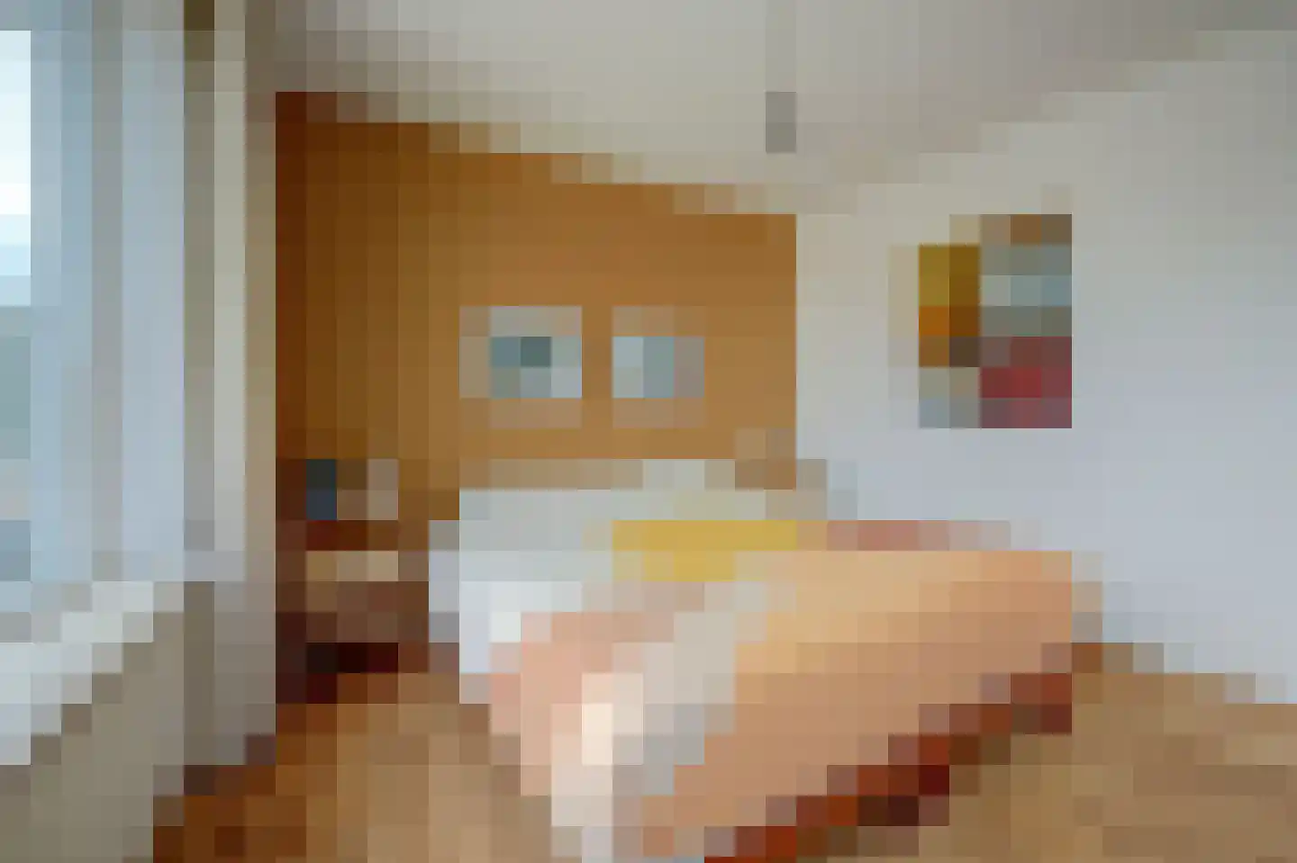 Julianastraat 27 Wehl thumbnail 18