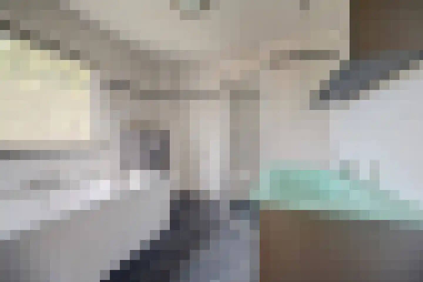 Julianastraat 27 Wehl thumbnail 19