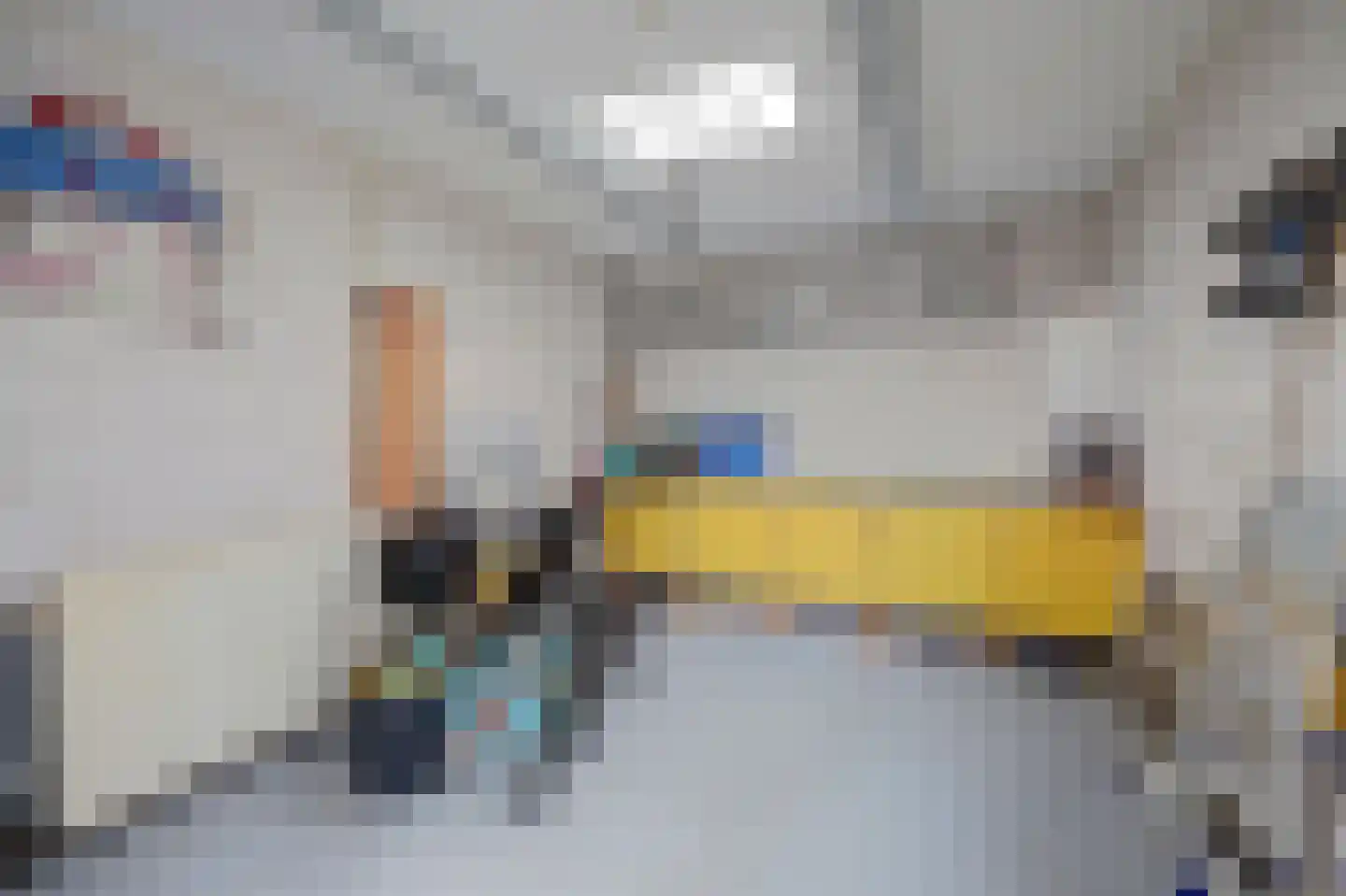 Julianastraat 27 Wehl thumbnail 24