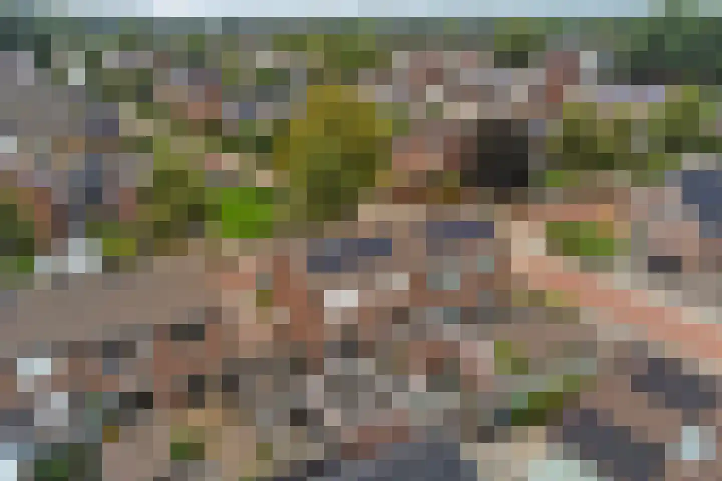 Julianastraat 27 Wehl thumbnail 35
