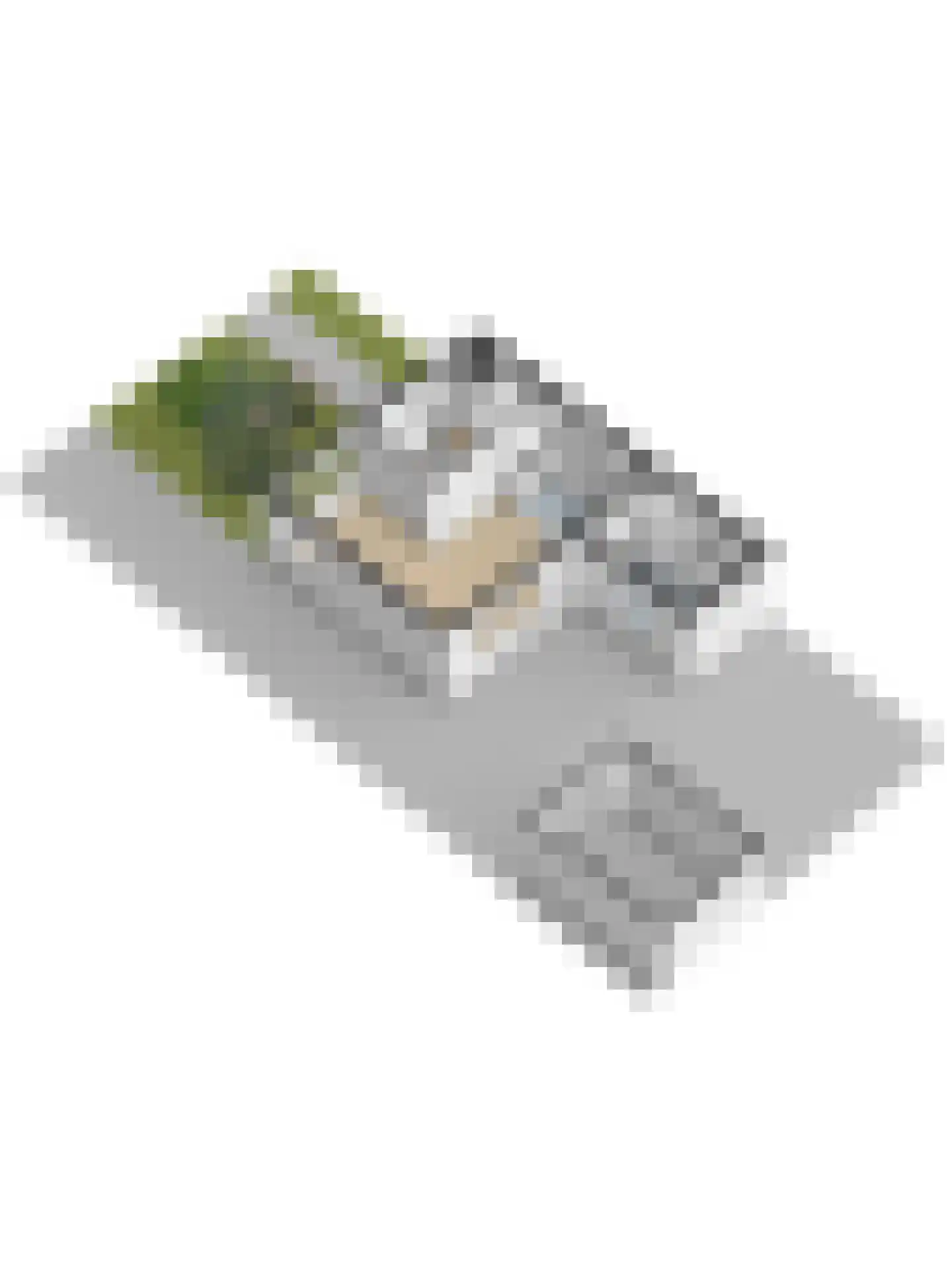 Julianastraat 27 Wehl thumbnail 47