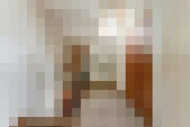 Julianastraat 28 Andel thumbnail 14