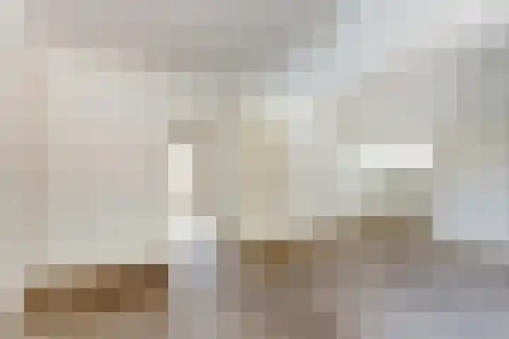 Julianastraat 28 Andel thumbnail 16