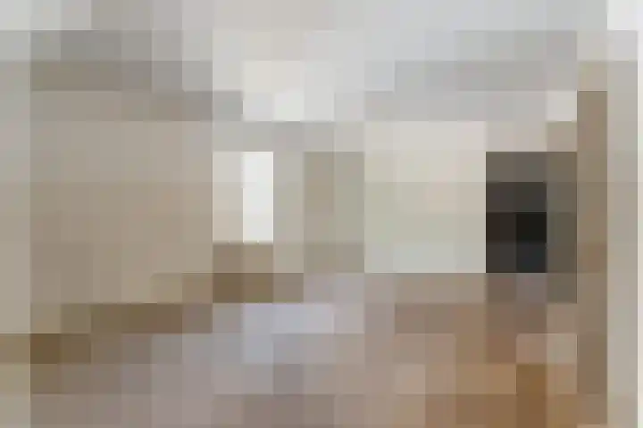 Julianastraat 28 Andel thumbnail 17