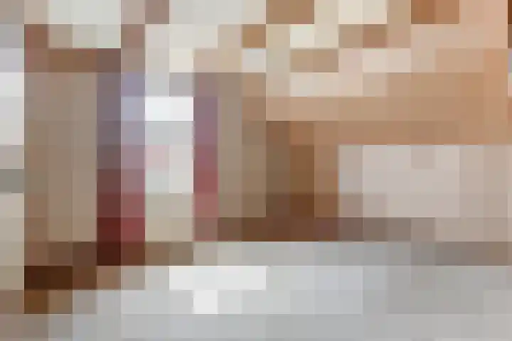 Julianastraat 28 Andel thumbnail 18