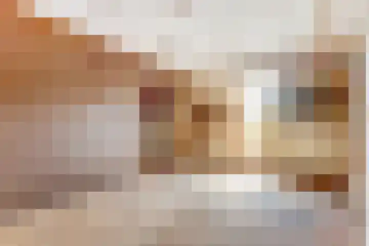 Julianastraat 28 Andel thumbnail 22