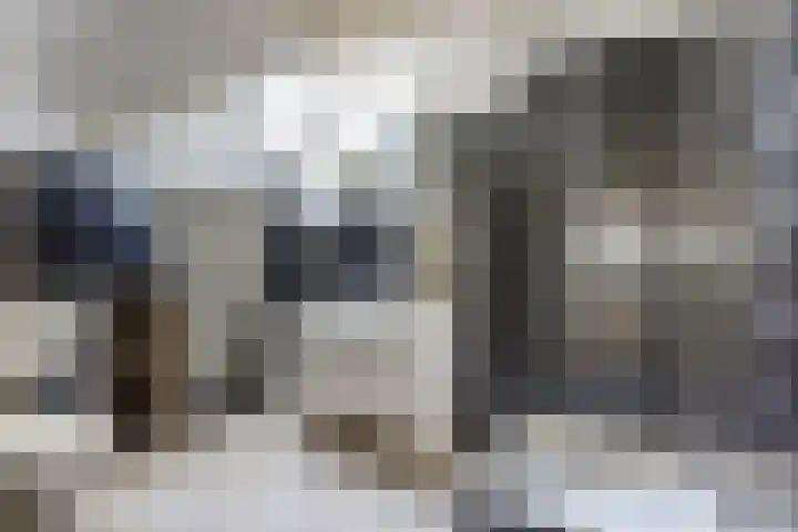 Julianastraat 28 Andel thumbnail 25