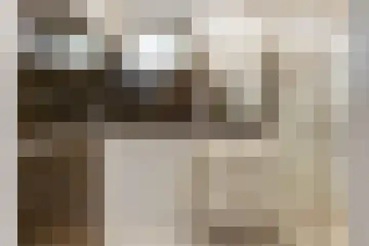 Julianastraat 28 Andel thumbnail 26