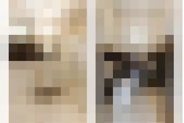 Julianastraat 28 Andel thumbnail 27