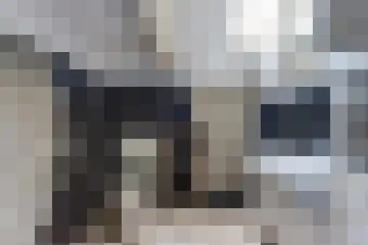 Julianastraat 28 Andel thumbnail 28