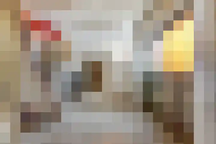 Julianastraat 28 Andel thumbnail 29