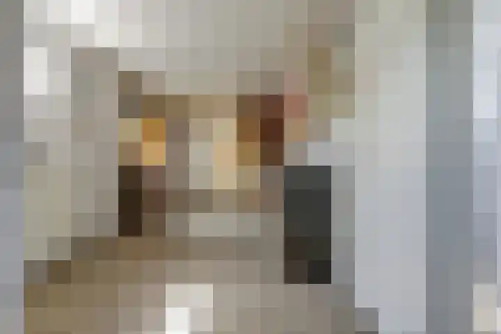 Julianastraat 28 Andel thumbnail 30