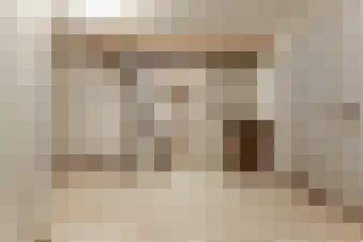 Julianastraat 28 Andel thumbnail 31