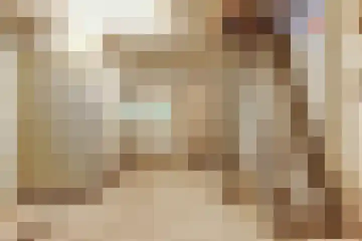 Julianastraat 28 Andel thumbnail 32