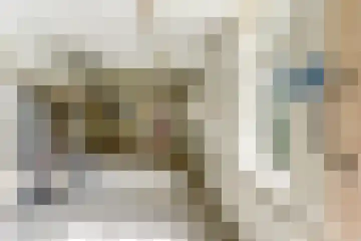 Julianastraat 28 Andel thumbnail 33
