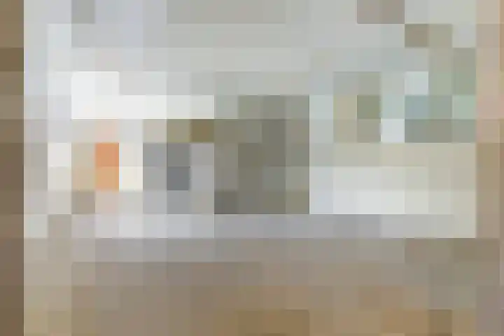 Julianastraat 28 Andel thumbnail 34