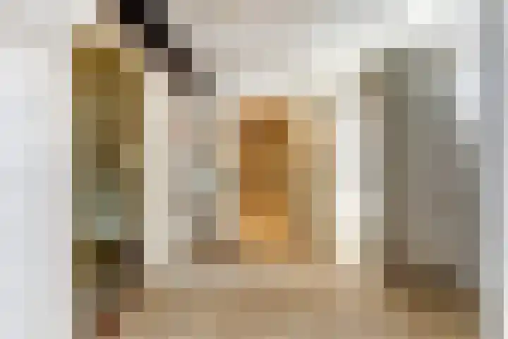 Julianastraat 28 Andel thumbnail 35