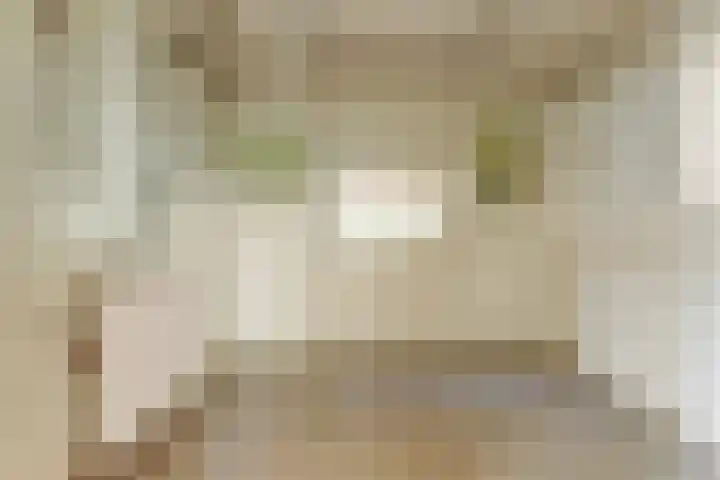 Julianastraat 28 Andel thumbnail 36
