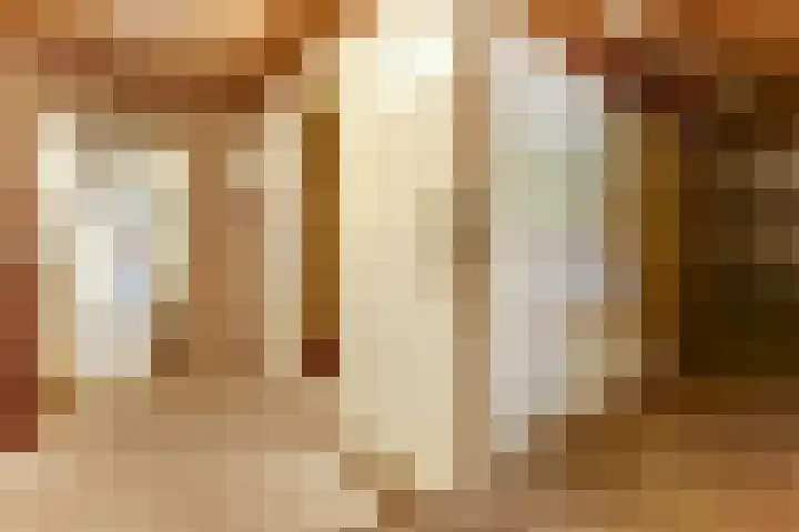 Julianastraat 28 Andel thumbnail 38