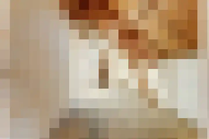 Julianastraat 28 Andel thumbnail 41