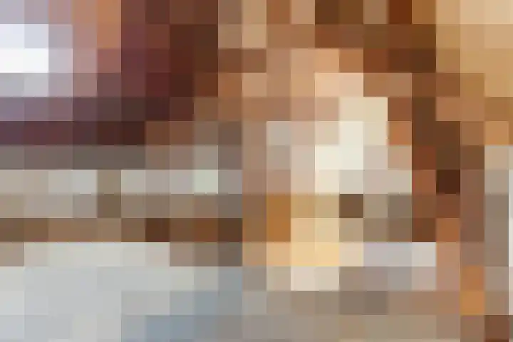 Julianastraat 28 Andel thumbnail 42
