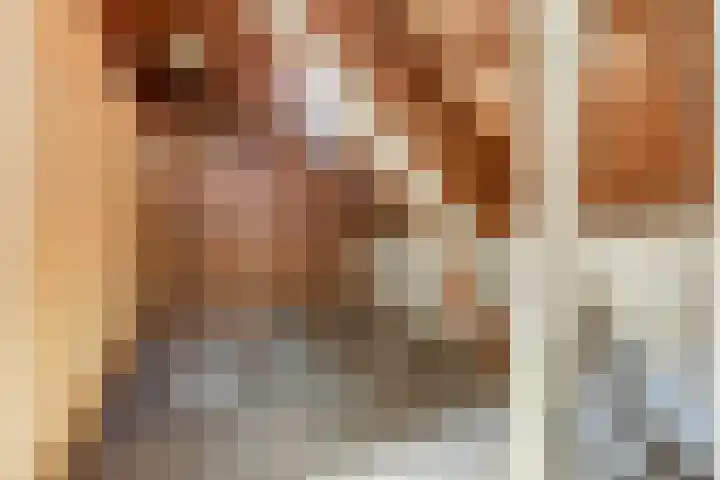 Julianastraat 28 Andel thumbnail 43