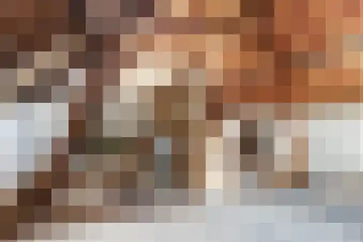 Julianastraat 28 Andel thumbnail 44