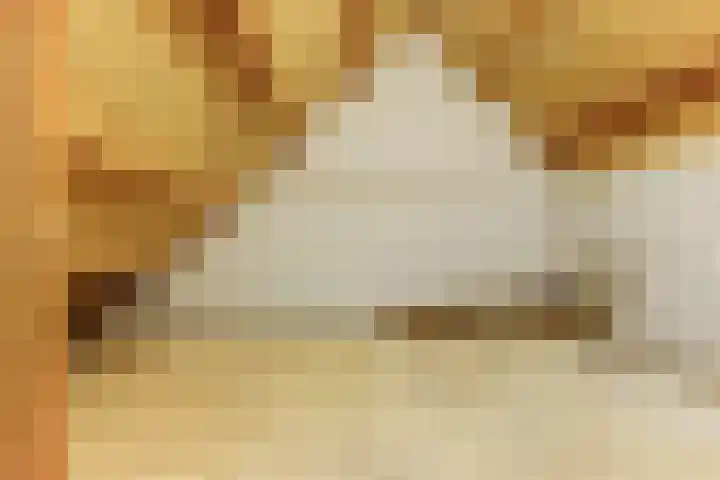 Julianastraat 28 Andel thumbnail 45