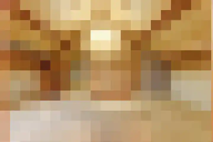 Julianastraat 28 Andel thumbnail 48
