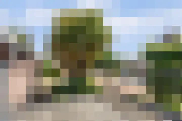 Julianastraat 28 Andel thumbnail 49