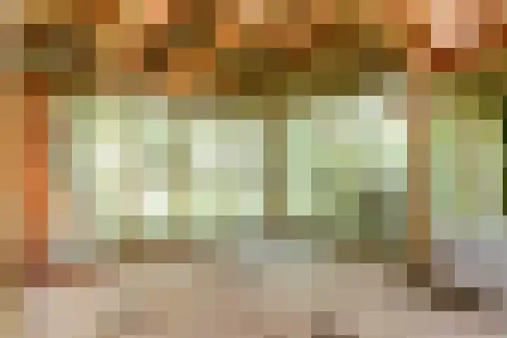 Julianastraat 28 Andel thumbnail 50